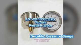 2.5" 60mm -20~100cmH2O স্টেইনলেস কেস + ব্রাস সংযোগ