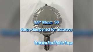 2.5" 63mm 0~1.6MPa/0~16kgf/cm2 সার্জ নির্ভুলতার জন্য স্যাঁতসেঁতে হয়েছে সমস্ত স্টেইনলেস স্টীল, ডায়াল উল্লম্ব, বেয়নেট