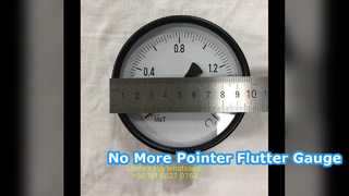4" 100mm 0~1.6MPa কার্বন স্টিল ইকোনমি প্রেসার গেজ
