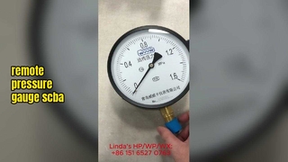রিমোট রিডিং এবং রিমোট প্রেসার গেজ - ইন্ডাস্ট্রিয়াল মনিটরিং সলিউশন