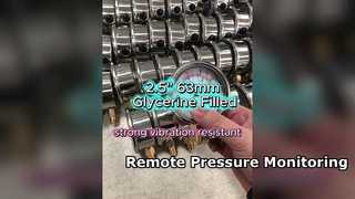 2.5 "63 মিমি স্টেইনলেস কেস, গ্লিসারিন ভরা