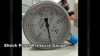 100mm 4" সমস্ত SS 0-2.5MPa