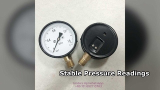 4" 100mm কালো ইস্পাত কেস, ব্রাস ইন্টারনাল এবং থ্রেড,0~1.6MPa.M20*1.5 ডায়াল উল্লম্ব।