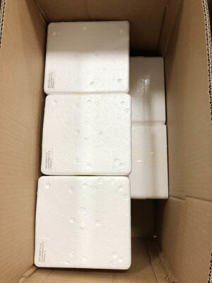 ৬" ০-১.৬এমপিএ রিমোট প্রেসার গেজ – ১.৬% নির্ভুলতা | রিয়েল-টাইম রিডিংস